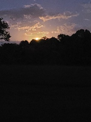 20201001_191046.jpg