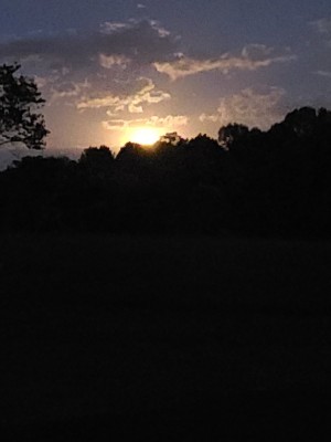 20201001_191117.jpg