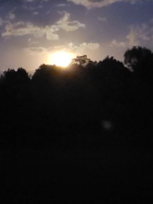 20201001_191213.jpg