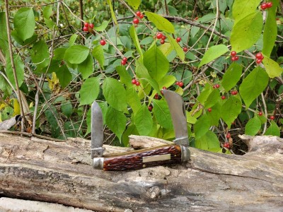 20201003_111614.jpg