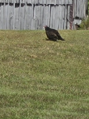 20201002_150456.jpg