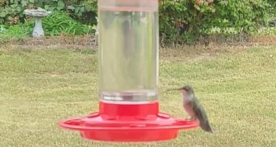 20201004_103728.jpg