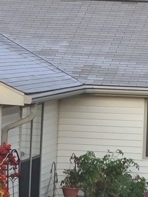 20201005_064019.jpg