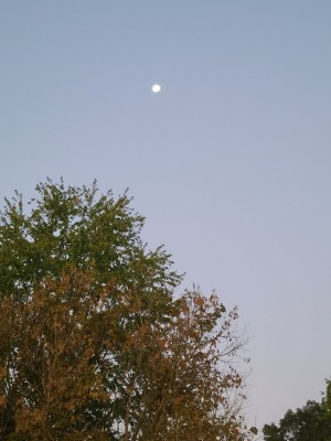 20201005_063505.jpg