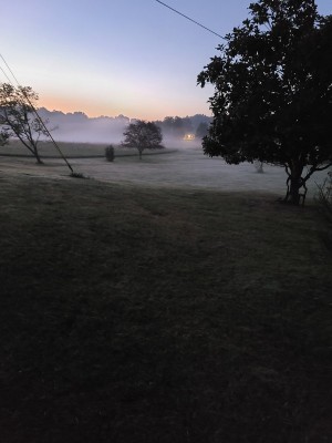 20201005_062035.jpg