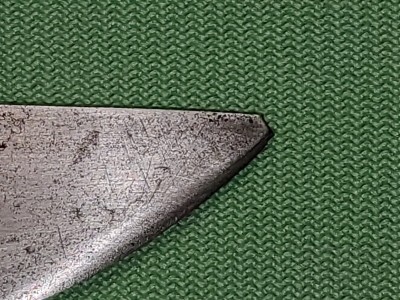 20201005_073526.jpg