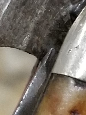 20201005_122538.jpg