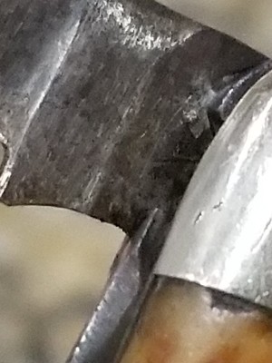 20201005_122530.jpg