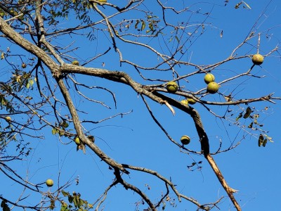 20201006_103553.jpg