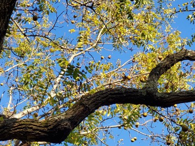 20201006_103459.jpg
