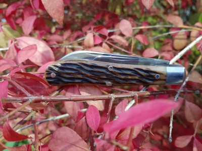 thumbnail_20200926_190736.jpg