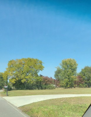 20201007_111742.jpg