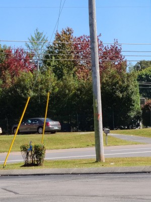 20201007_111503.jpg