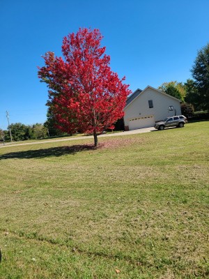 20201006_125031.jpg