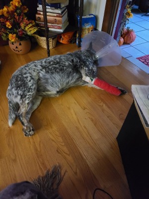 20201008_180811.jpg