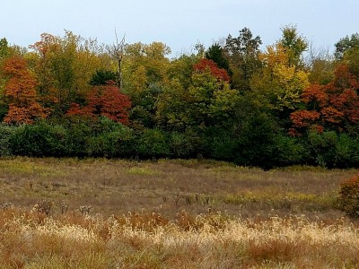 20201008_192713.jpg