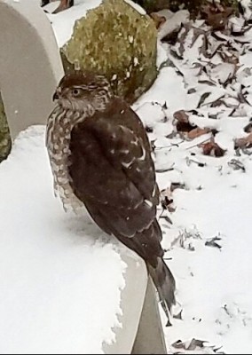 20201008_193814.jpg