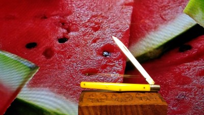 IMG_20171118_210224.jpg