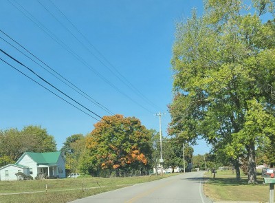 20201007_111314.jpg
