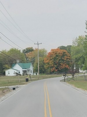 20201009_091054.jpg