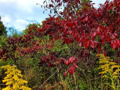 20201009_174923.jpg