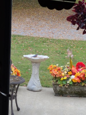 20201009_163220.jpg
