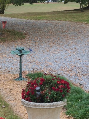20201009_163253.jpg
