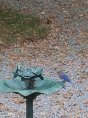 20201009_175834.jpg
