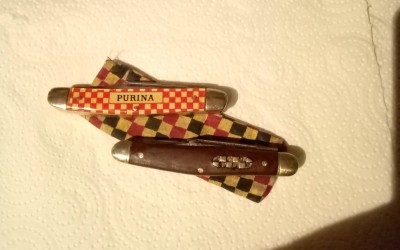 IMG_20201010_082205.jpg