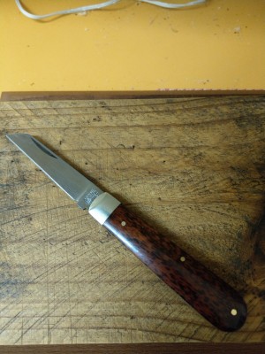 IMAG0316.jpg