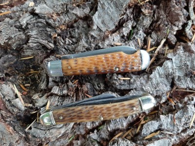 Cut Co. EZO - Walden 895 Stockman