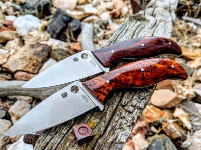 aapkSpydieMules.jpg