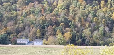 20201012_154842.jpg