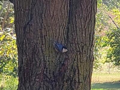20201013_154853.jpg