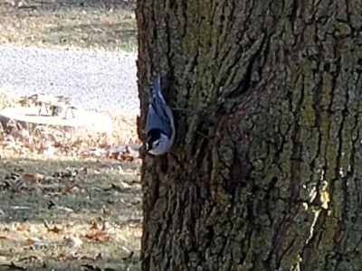 20201013_162320.jpg