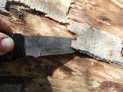 DSCF7920.JPG