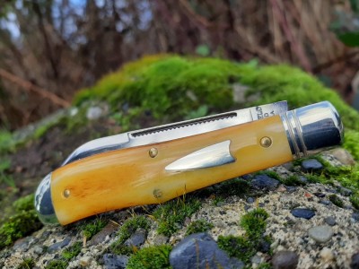 Tidoute 92 Eureka autumn gold