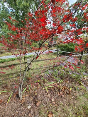 20201012_103844.jpg