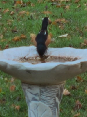 20201017_090752.jpg