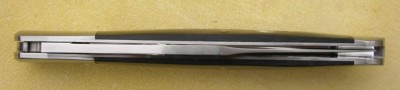 IMGP9831.JPG