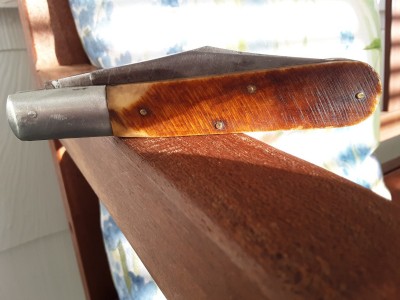 20201017_163456.jpg