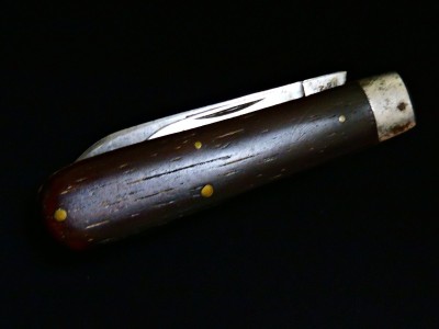 DSCN5288.JPG