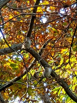 20201018_104831.jpg