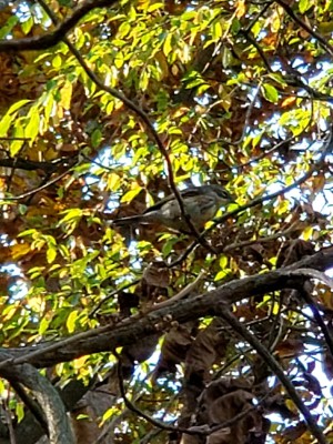 20201018_105150.jpg