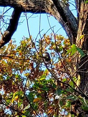 20201018_104948.jpg