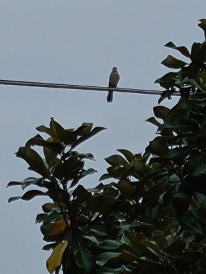 20201018_120904.jpg