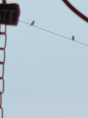 20201018_120625.jpg