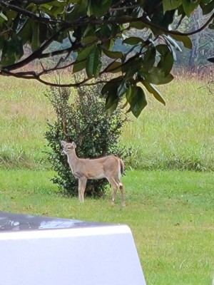 20201018_121317.jpg