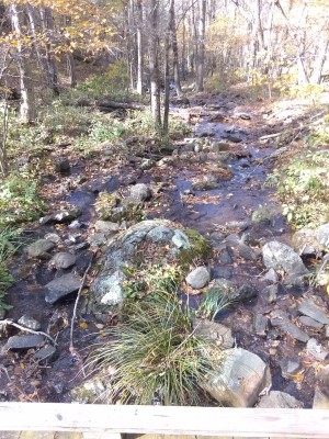2020-10-18_13-05-04_-_hiking.jpg
