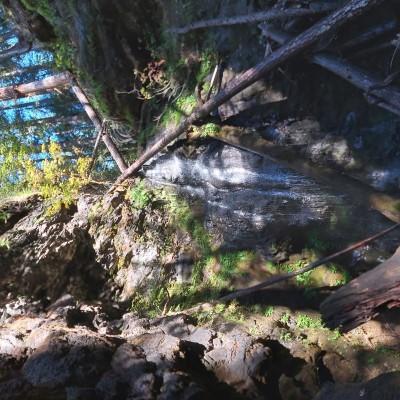 20201016_154654.jpg
